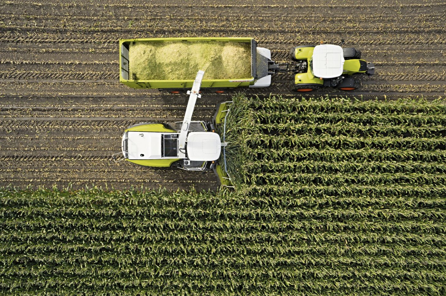 Feldhaecksler Maisernte thorsten schmidtkord duessedorf landwirtschaft
